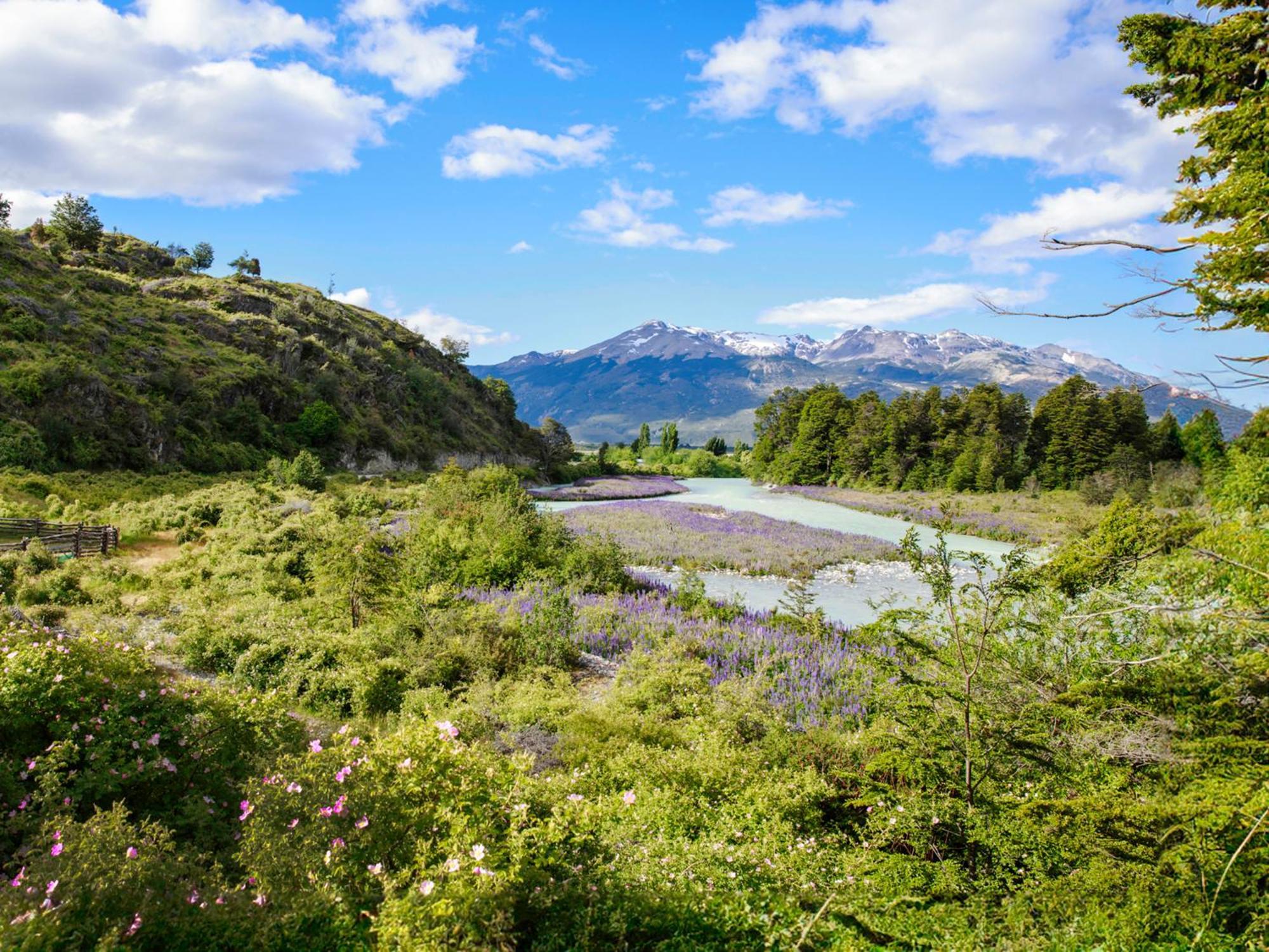 Loberias Del Sur Ξενοδοχείο Puerto Chacabuco Εξωτερικό φωτογραφία