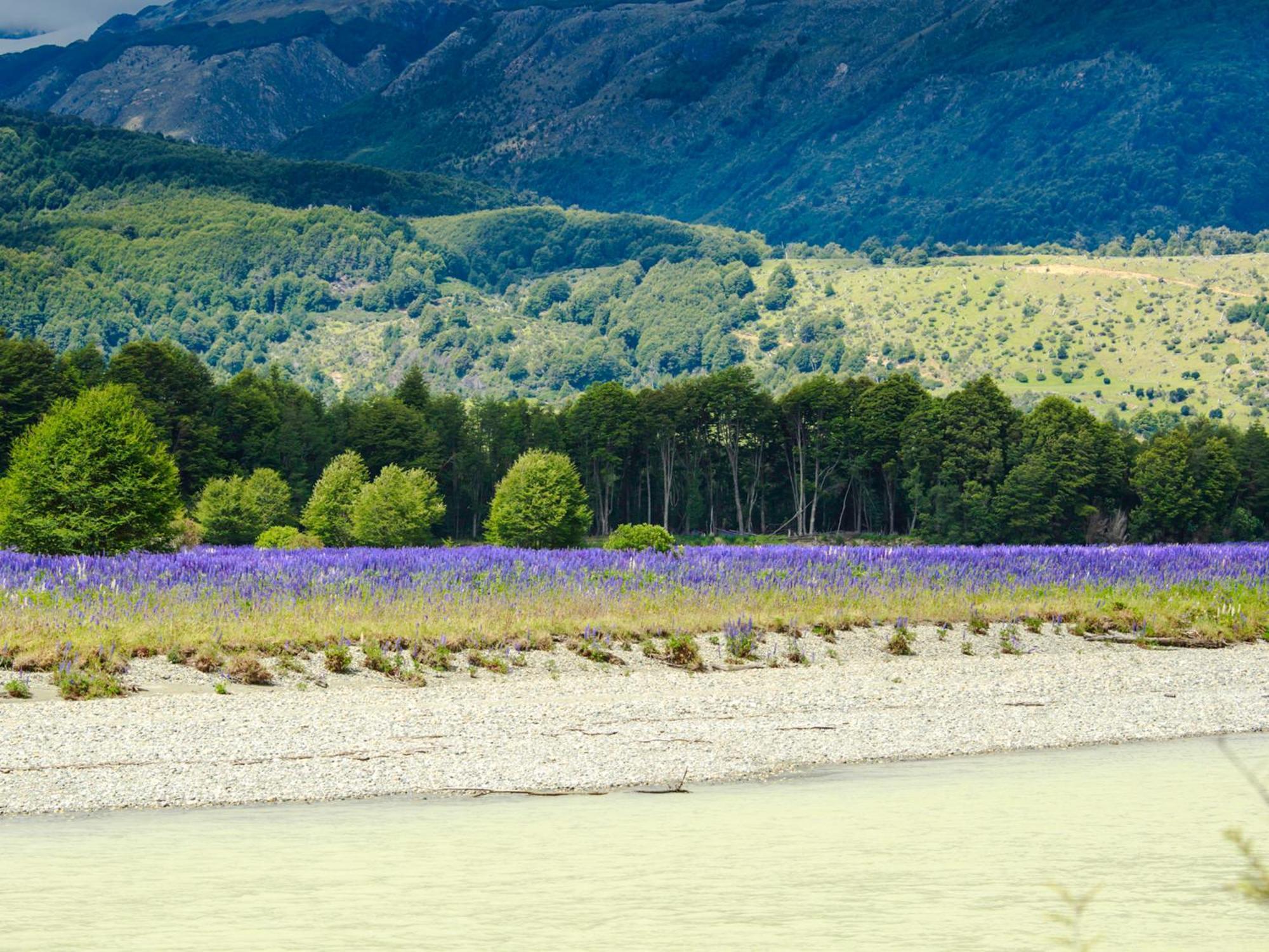 Loberias Del Sur Ξενοδοχείο Puerto Chacabuco Εξωτερικό φωτογραφία